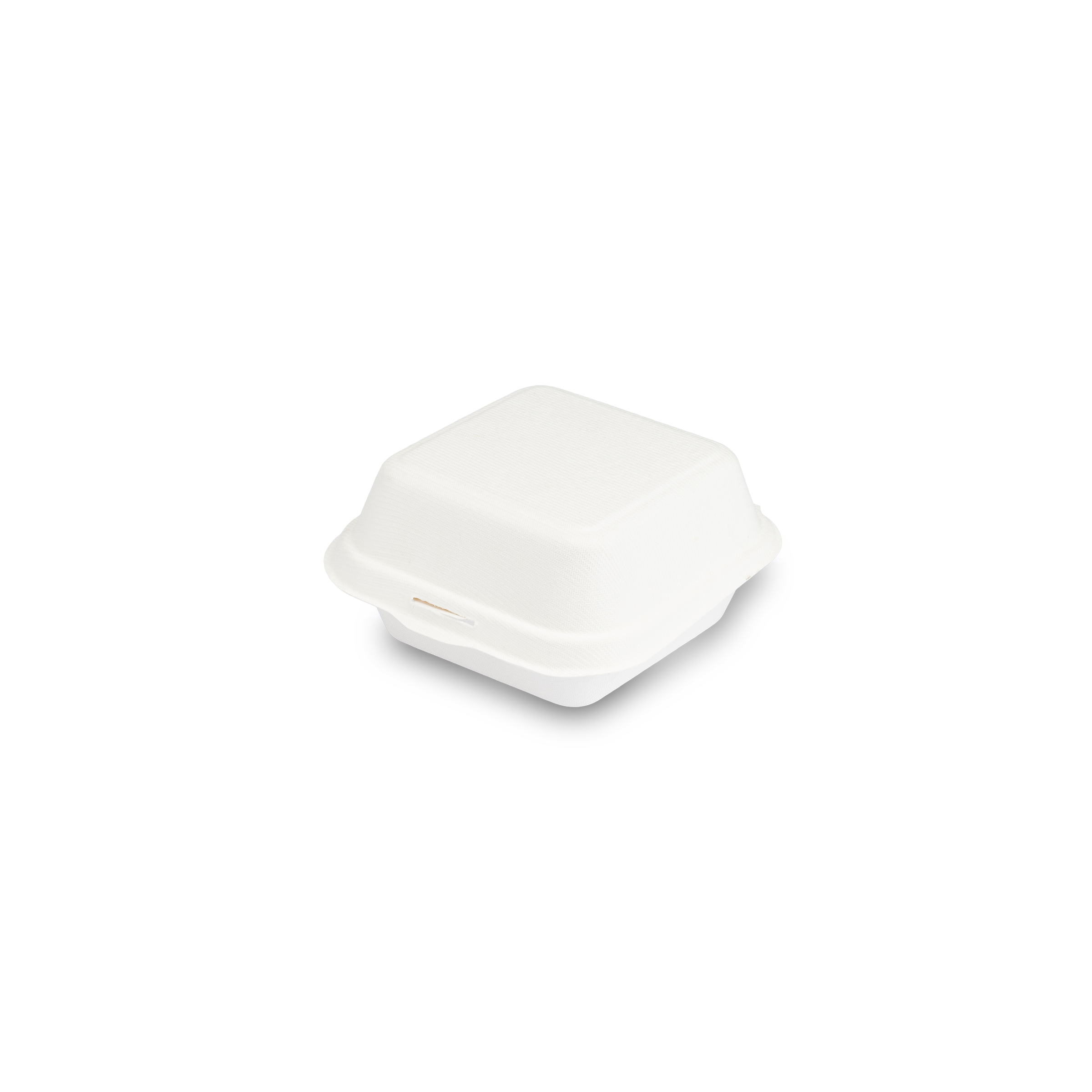 Contenitori polpa di cellulosa bianco- Printcentral - - -