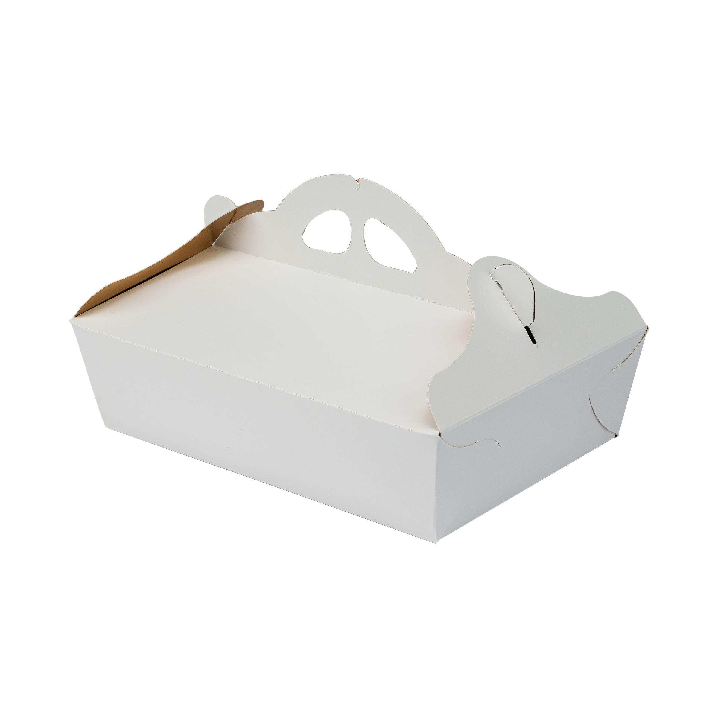 42000001724_02.png