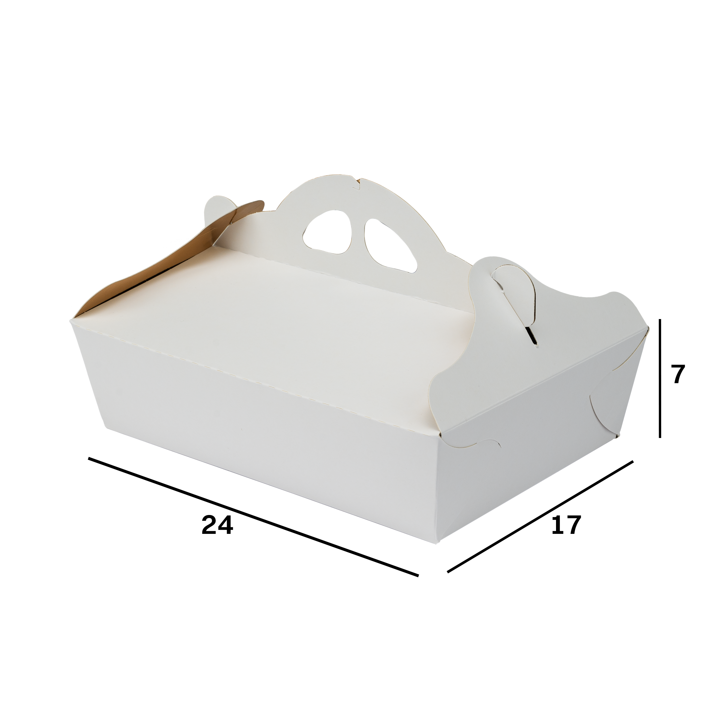 42000001724_R.png