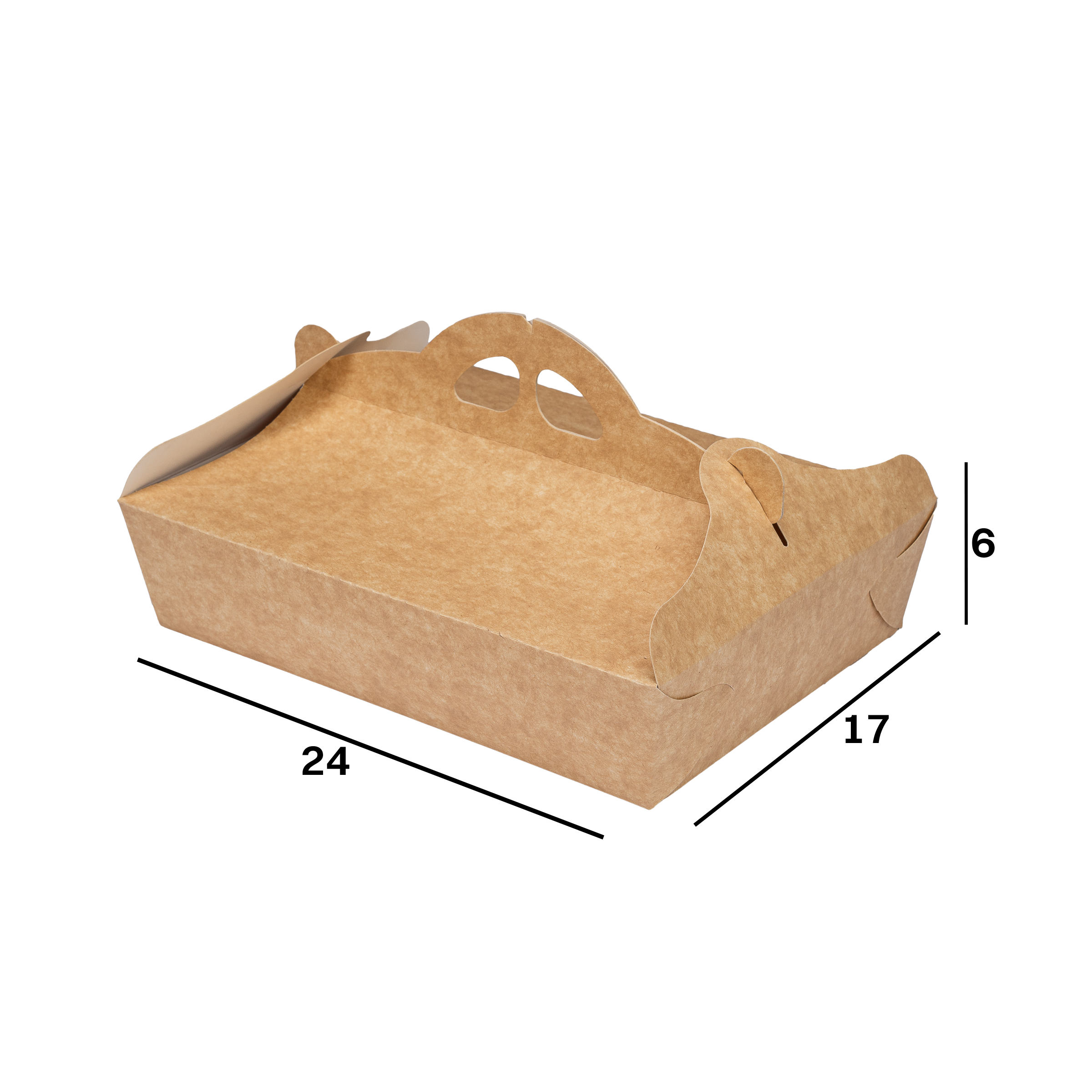 D6020008_R.png