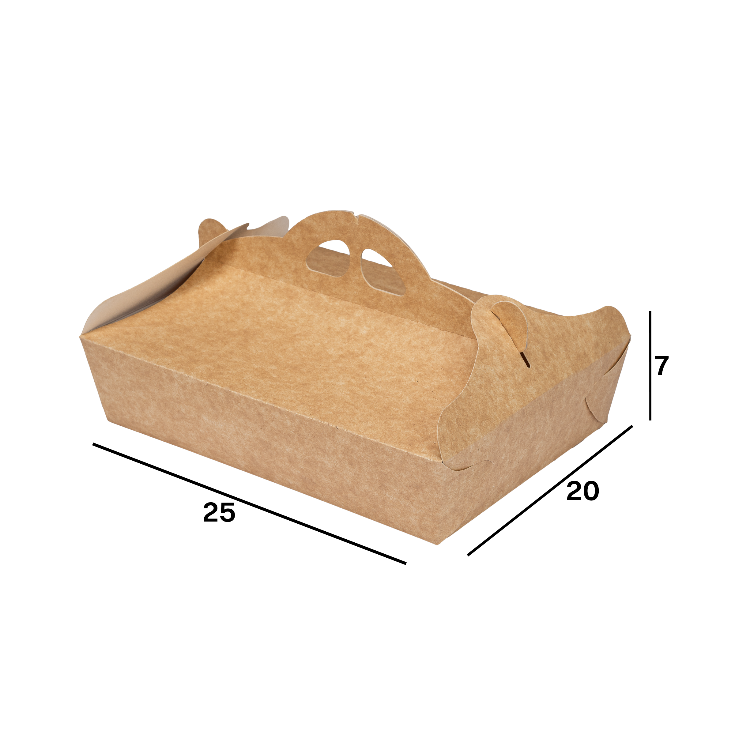D6020009_R.png