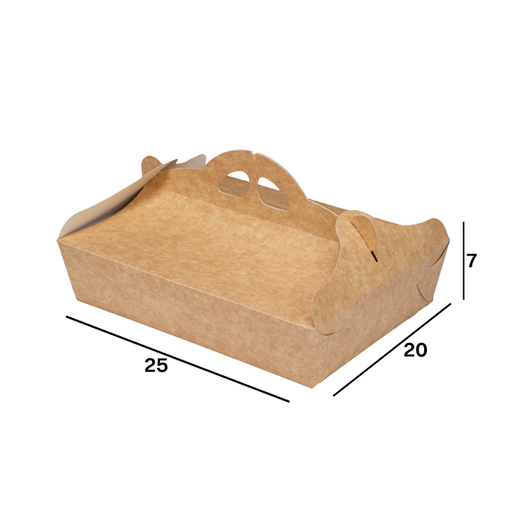 D6020009_R.png