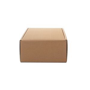 /Users/alessandro/Downloads/PRINTCENTRAL/E9070012/E9070012_01.png