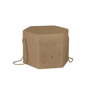 Scatole porta panettone esagonali avana- Printcentral - - -