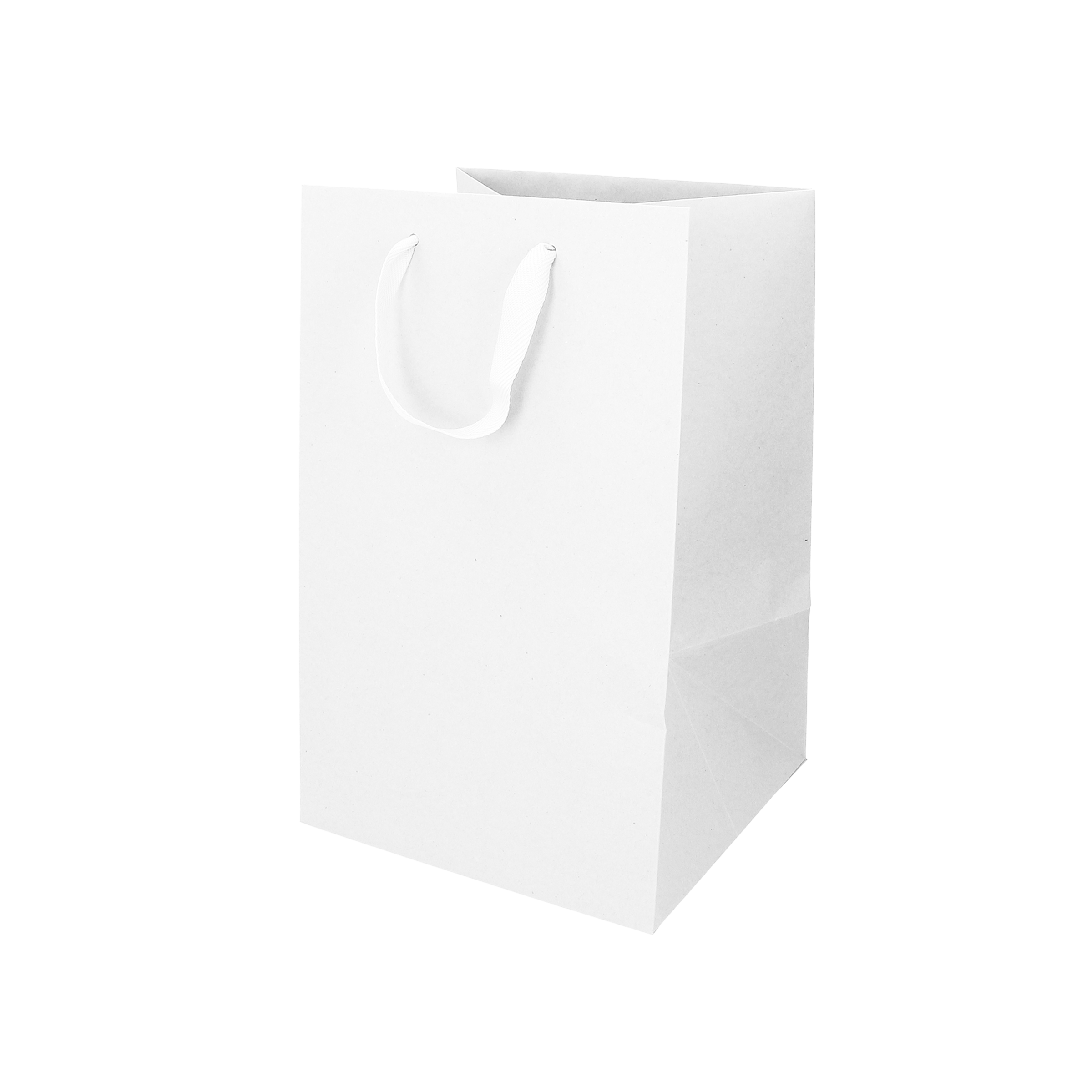 Shopper in carta Lux porta panettone bianco Natale- Printcentral - - -