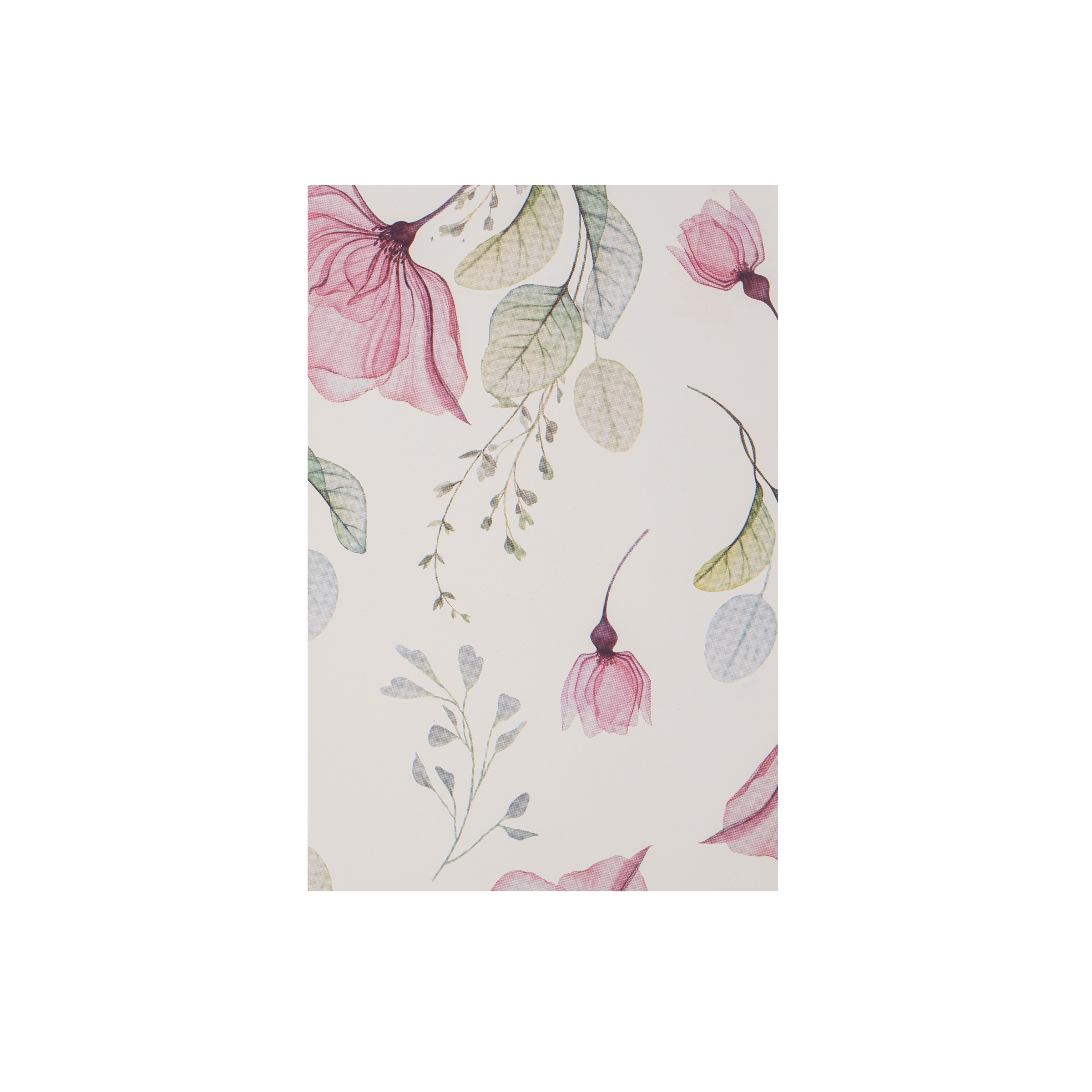 Fogli in polipropilene 60MY diam.100 Anemone Elite- Printcentral - - -