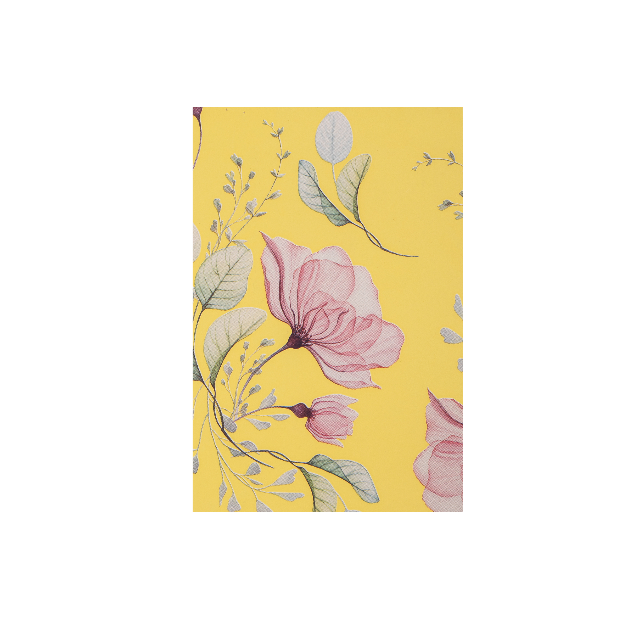 Fogli in polipropilene 60MY diam.100 Anemone Elite- Printcentral - - -