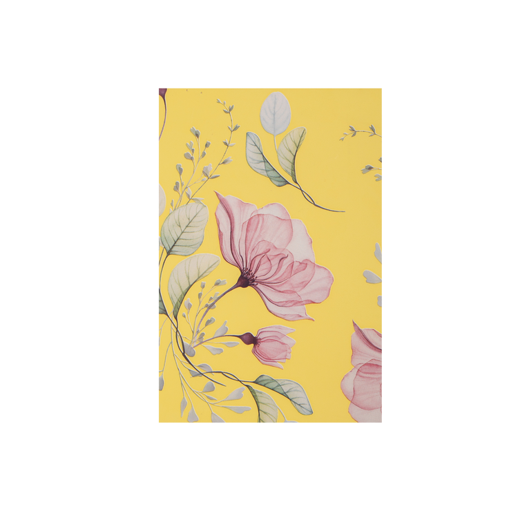 Fogli in polipropilene 60MY diam.100 Anemone Elite- Printcentral - - -