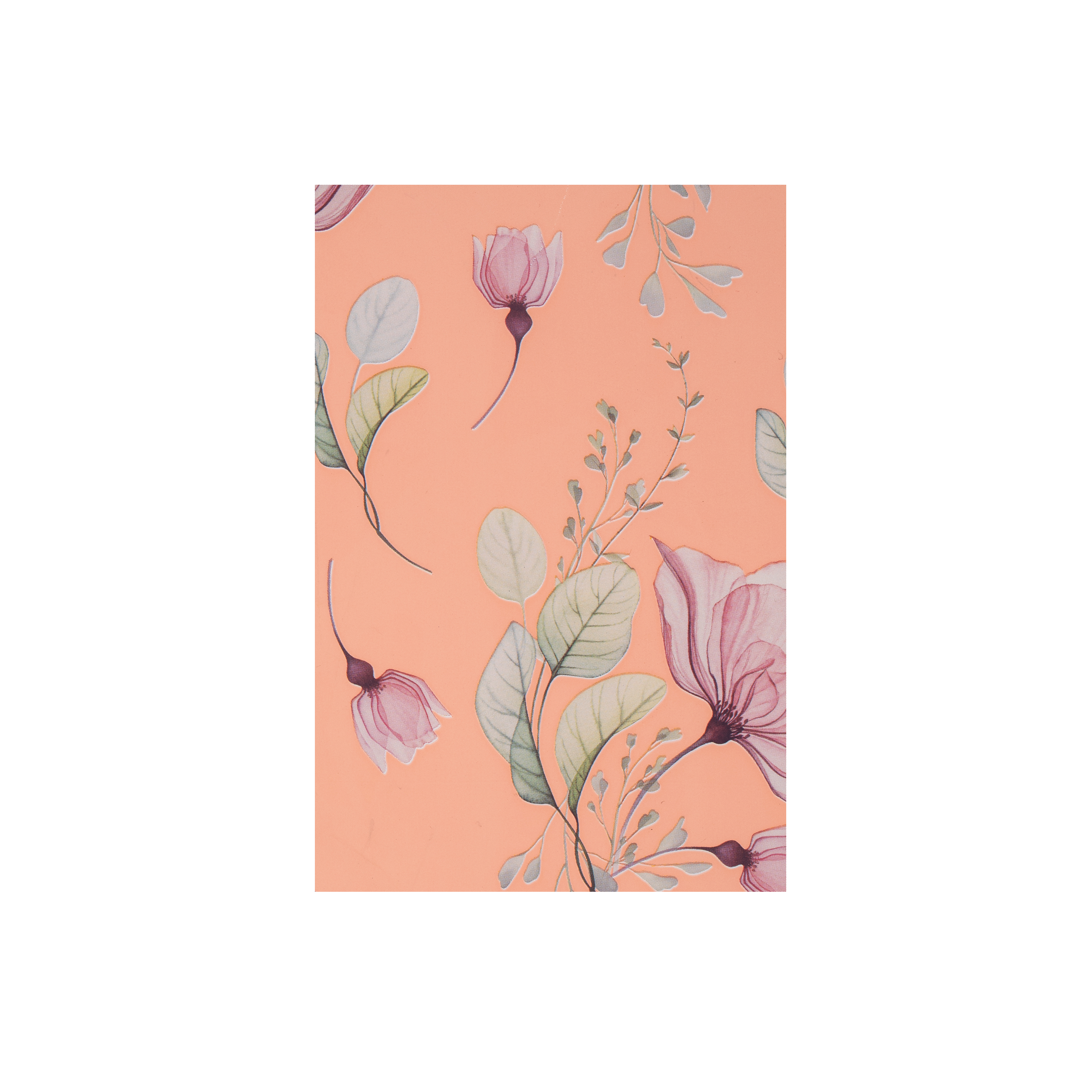 Fogli in polipropilene 60MY diam.100 Anemone Elite- Printcentral - - -