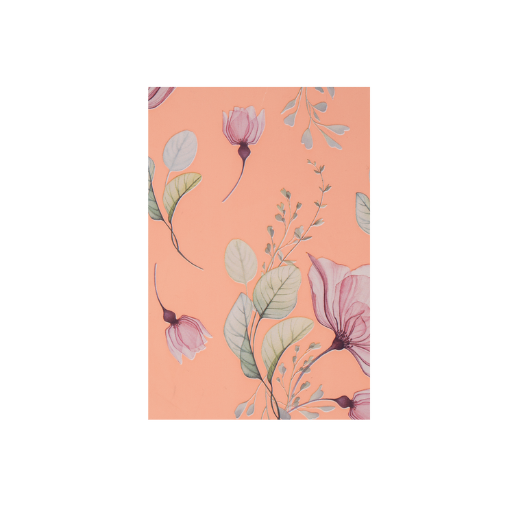 Fogli in polipropilene 60MY diam.100 Anemone Elite- Printcentral - - -