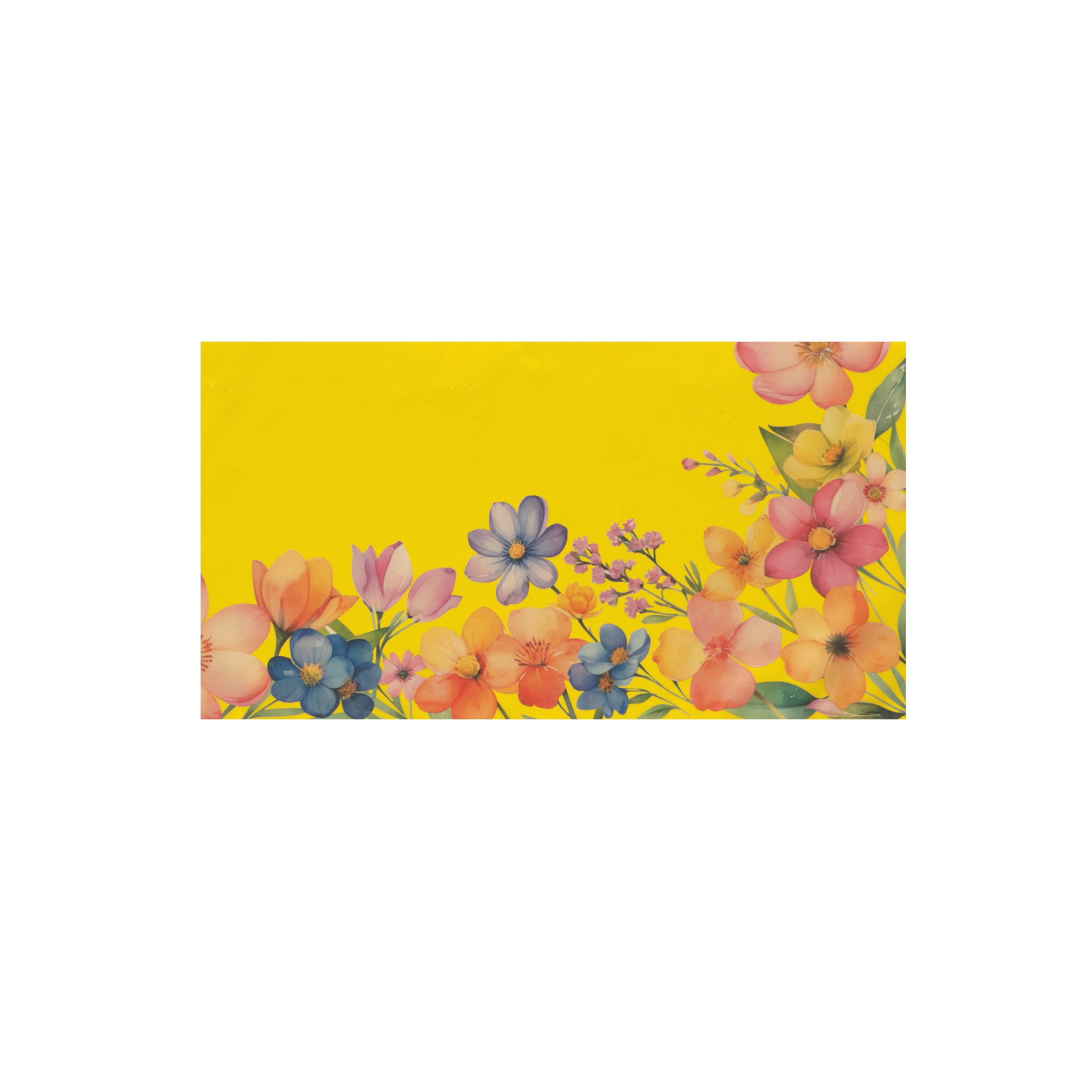 Busta in polipropilene 30my 40x50cm- Printcentral - - -