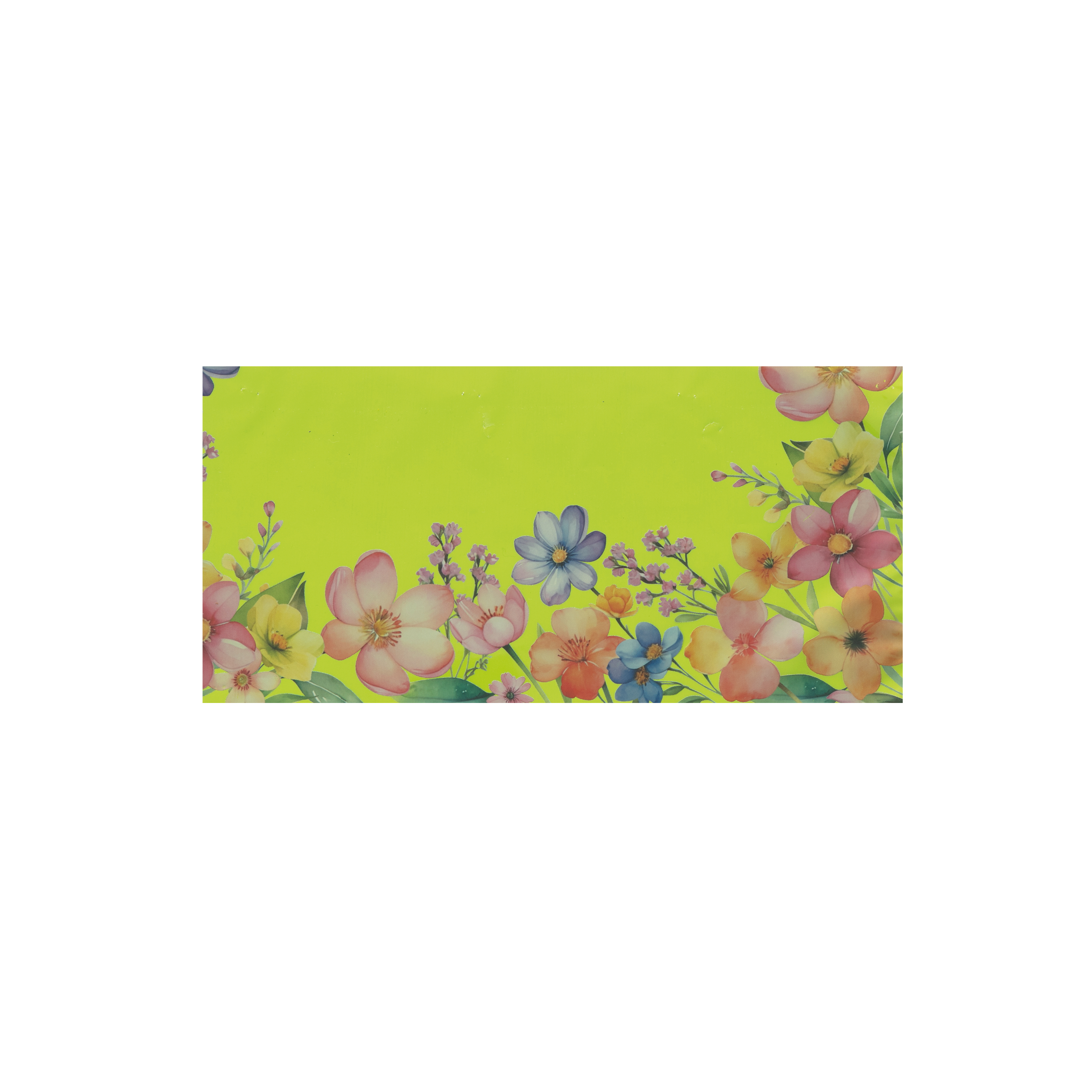 Busta in polipropilene 30my 40x50cm- Printcentral - - -