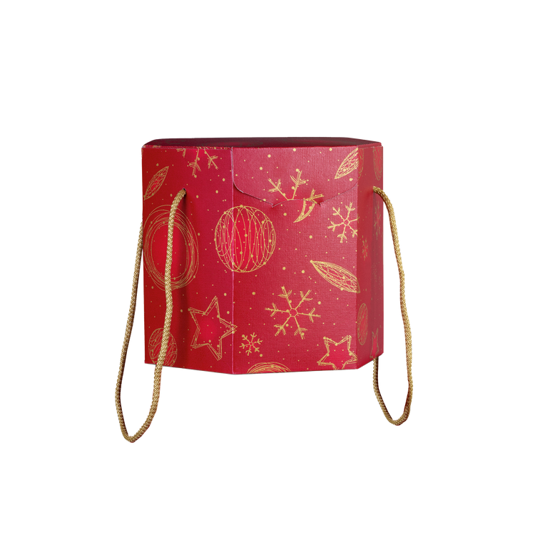 Scatole porta panettone esagonali Red Universe- Printcentral - - -