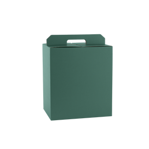 Scatole porta panettone + bottiglie fibra verde- Printcentral - - -