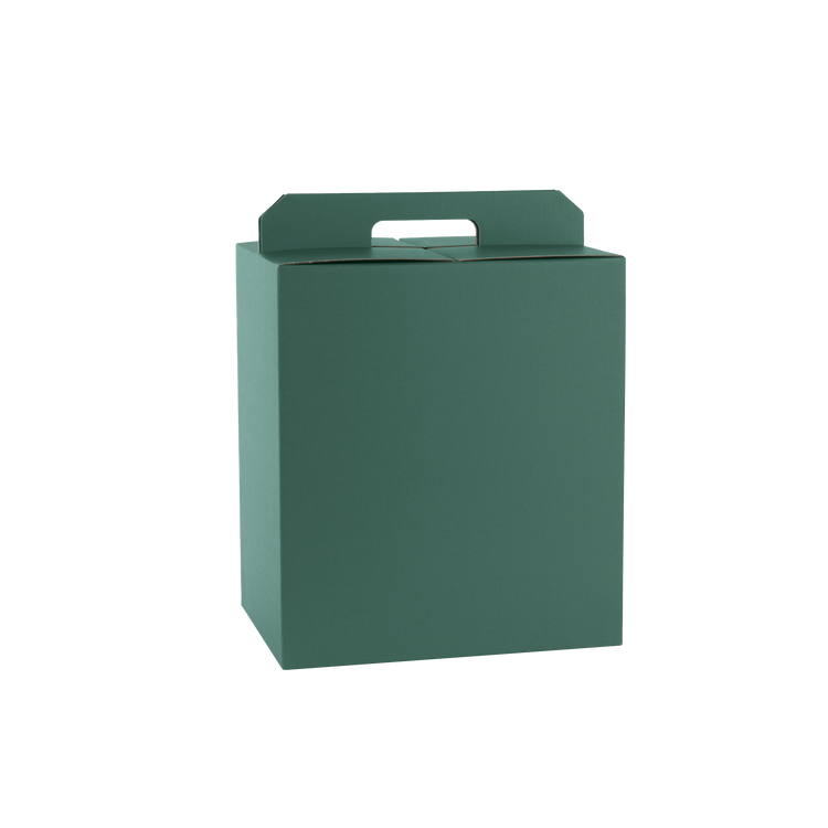 Scatole porta panettone + bottiglie fibra verde- Printcentral - - -