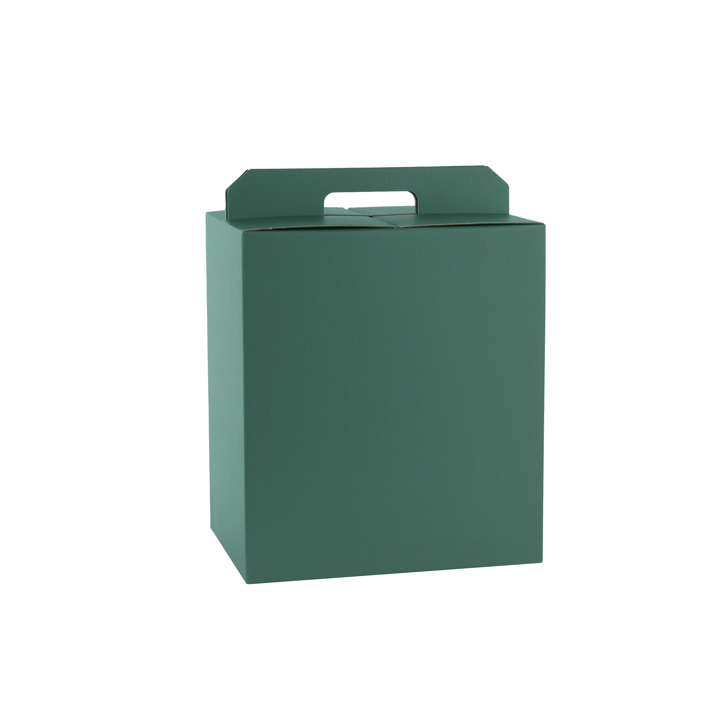 Scatole porta panettone + bottiglie fibra verde- Printcentral - - -