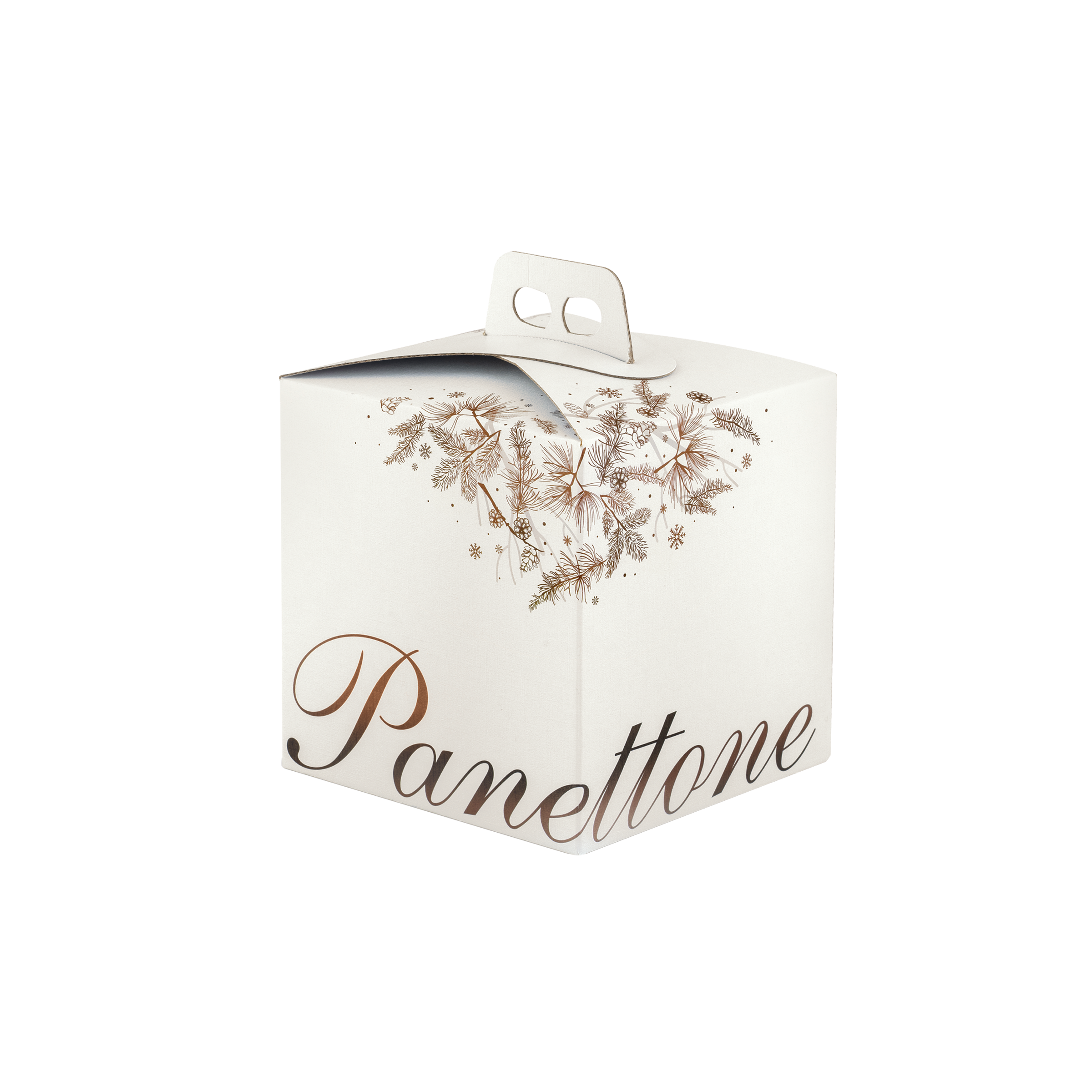 Scatole porta panettone quadrella Dolce Idea- Printcentral - - -