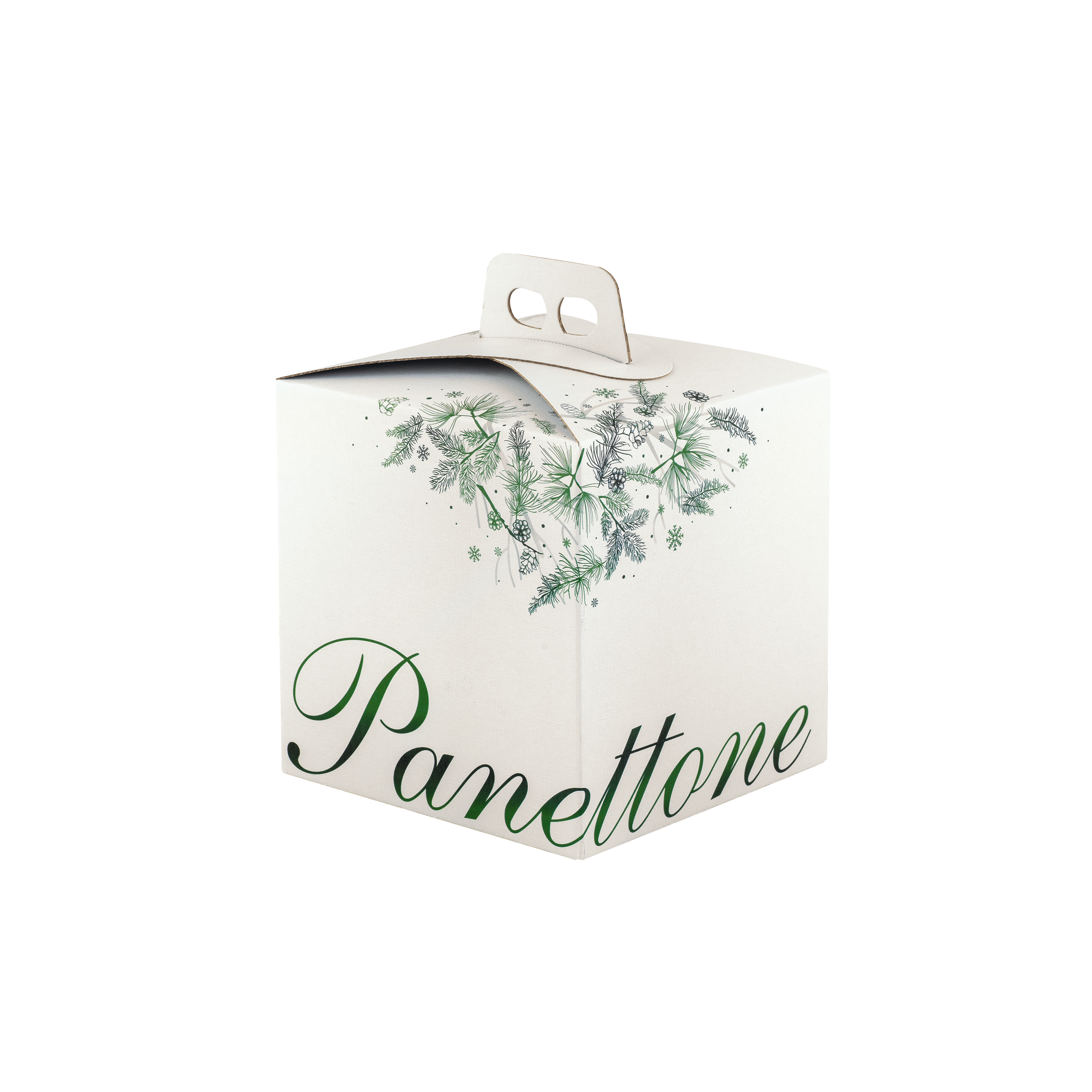 Scatole porta panettone quadrella Dolce Idea- Printcentral - - -