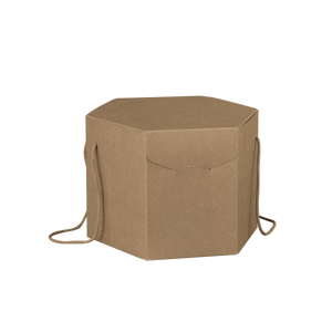 Scatole porta panettone esagonali avana- Printcentral - - -